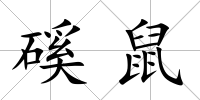 磎鼠