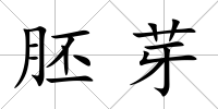 胚芽