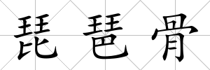 琵琶骨