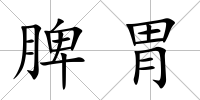 脾胃