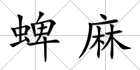 蜱麻