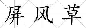 屏風(fēng)草