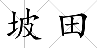 坡田