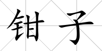 鉗子