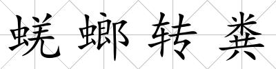 蜣螂轉糞