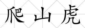 爬山虎