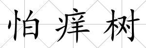 怕癢樹