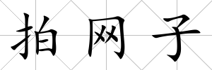 拍網子