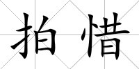 拍惜