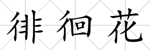 徘徊花