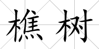 樵樹(shù)