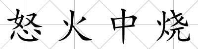 怒火中燒