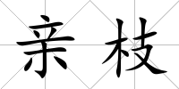 親枝