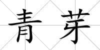青芽