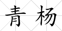 青楊