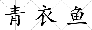 青衣魚