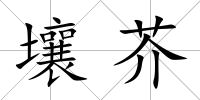 壤芥