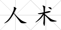 人術