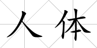 人體