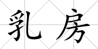 乳房