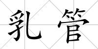 乳管