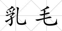 乳毛