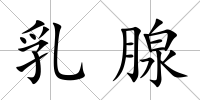 乳腺