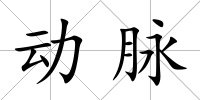 動(dòng)脈