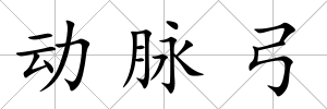動脈弓