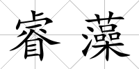 睿藻