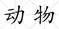 動物