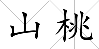 山桃