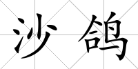 沙鴿