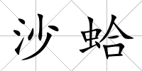 沙蛤