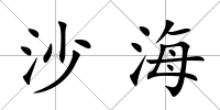沙海