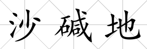 沙堿地