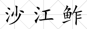 沙江鲊