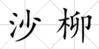 沙柳