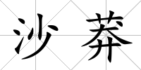 沙莽