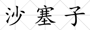 沙塞子