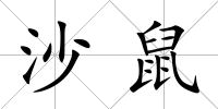 沙鼠