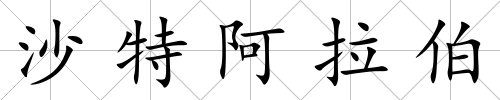 沙特阿拉伯
