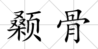 顙骨