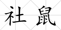 社鼠