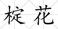 椗花
