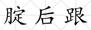 腚后跟
