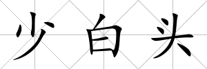 少白頭