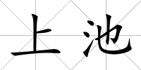 上池