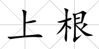 上根
