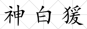 神白猨